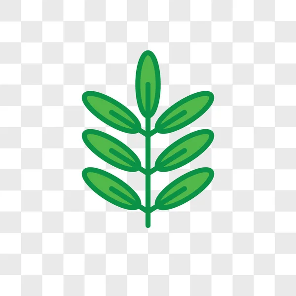 Acacia vector pictogram geïsoleerd op transparante achtergrond, Acacia lo — Stockvector