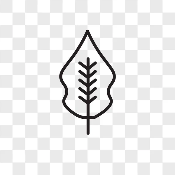 Icono de vector de hoja de Magnolia aislado sobre fondo transparente, Ma — Vector de stock