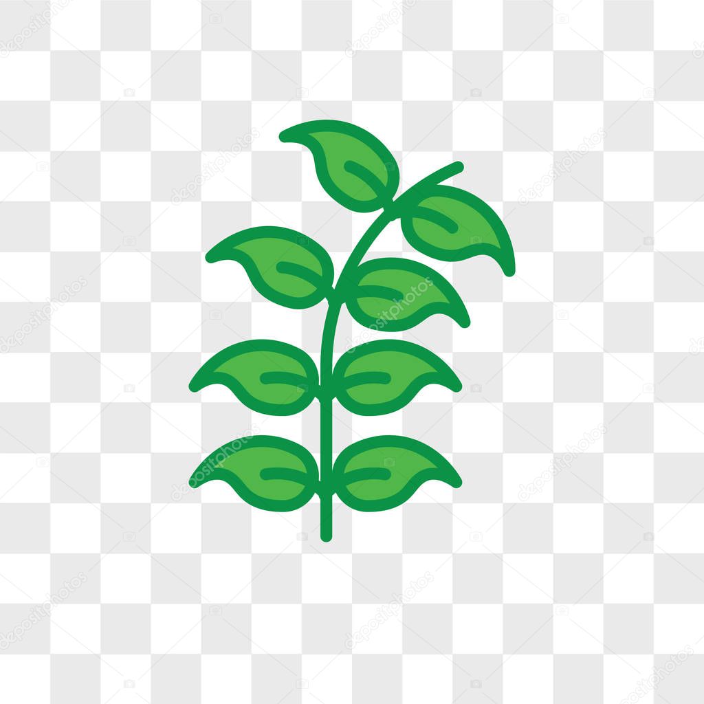 Bilberry leaf vector icon isolated on transparent background, Bilberry leaf logo concept