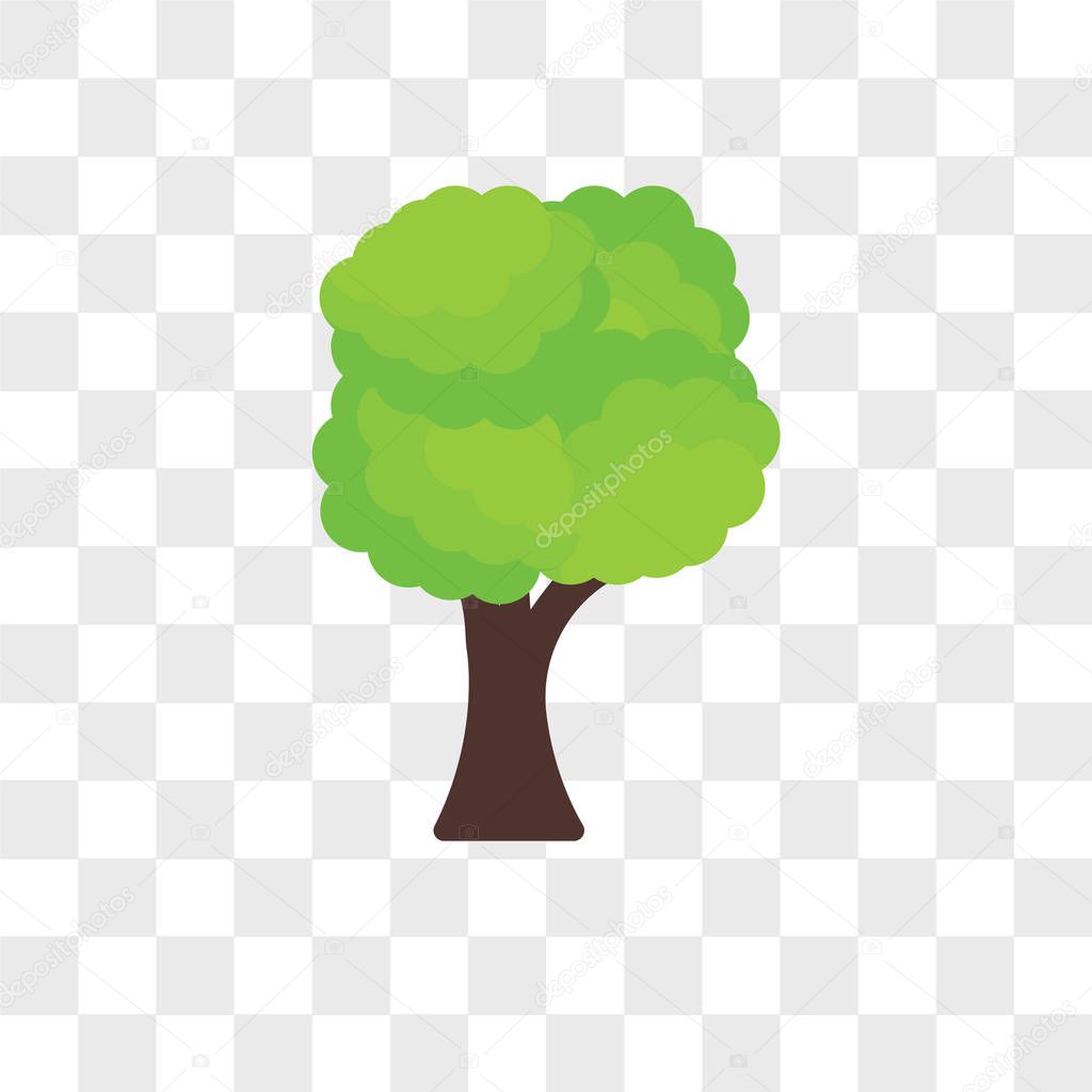 Tree vector icon isolated on transparent background, Tree logo concept