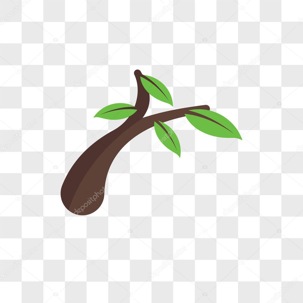 Branch vector icon isolated on transparent background, Branch logo concept