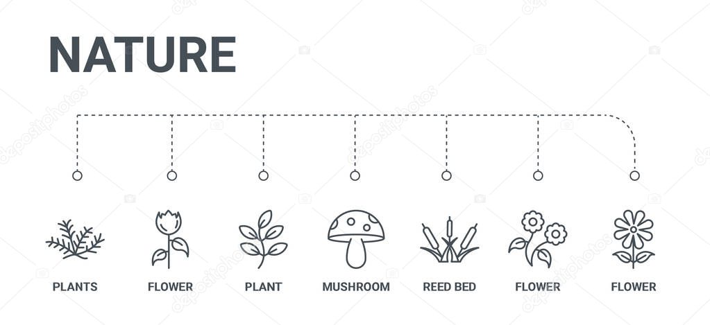 simple set of 7 line icons such as flower, flower, reed bed, mus