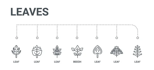 Conjunto simple de 7 iconos de línea como hoja, hoja, hoja, haya, de — Vector de stock