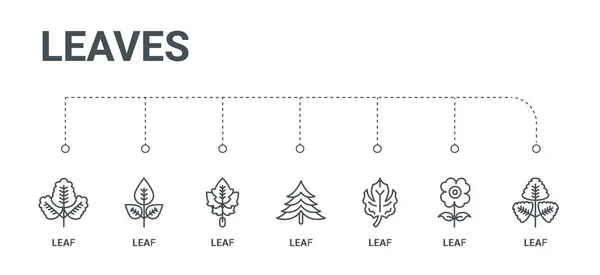 Conjunto simple de 7 iconos de línea como hoja, hoja, hoja, de hojas — Vector de stock