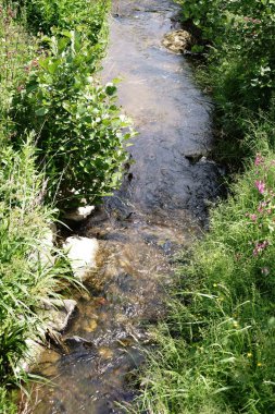 Akış başına vahşi çayır / dar net bir akış vahşi meadows, yabani otlar ve onun kıyısında kır çiçekleri.                               