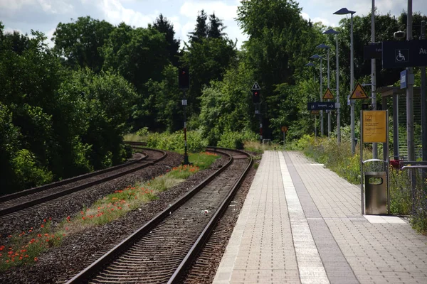 Pipacsok Között Vasúti Síneket Egy Virág Meadow Pipacsos Között Vasúti — Stock Fotó