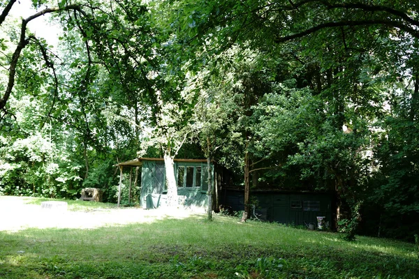 Abri Jardin Sous Soleil Abri Jardin Entouré Arbres Sous Soleil — Photo