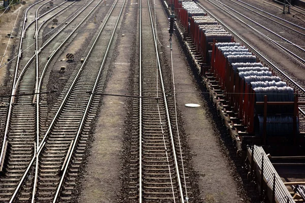 Yük treni ile demiryolu ağı / demiryolu vagonlar yük treninin bir yük avluya yaygın olarak dallı demiryolu ağı üzerinde yer.                      