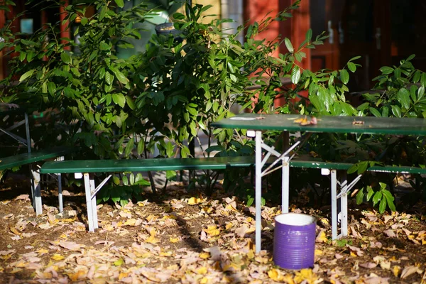 Automne Dans Jardin Bière Bancs Bordés Tables Bière Jardin Bière — Photo