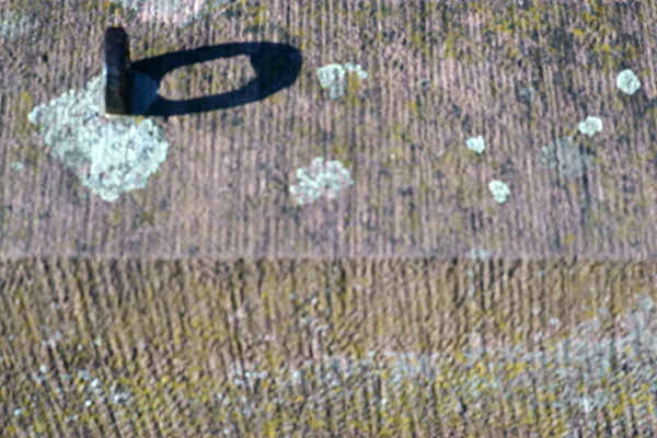 Duvar kenarına metal halka / metal halka liken ile duvar kenarında bir gölge çevirir