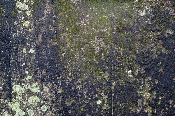 Стена Сажей Лишайниками Крупный План Сырой Грубой Стены Лишайниками Водорослями — стоковое фото