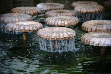 Mantar kap şeklindeki ritüellerde / mantar kap şeklindeki çeşmeler ve bir çeşmenin üzerinde su trickles jetleri