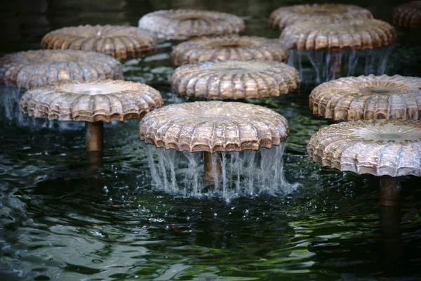 Mantar kap şeklindeki ritüellerde / mantar kap şeklindeki çeşmeler ve bir çeşmenin üzerinde su trickles jetleri