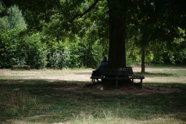 Park bankında eski ağaç altında / yaşlı bir ağaç altında bir parkta bankta oturan yaşlı bir adam gölgesi