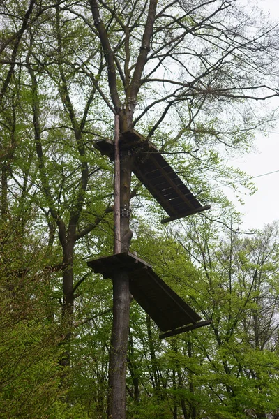 Holzplattform Kletterwald Ein Hindernisparcours Kletterwald Mit Zwei Holzplattformen Der Baumkrone — Stockfoto