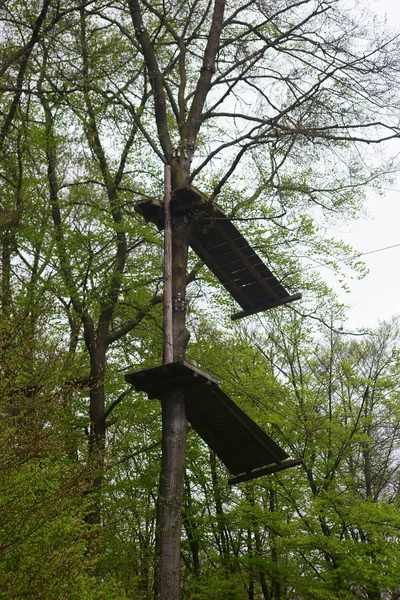 Wooden Platform Climbing Forest Obstacle Course Climbing Forest Two Wooden — Stok fotoğraf