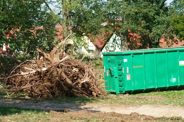 堆放和锯枝在风暴后旁边的容器 一堆锯树枝 树枝和树木后 免版税图库照片