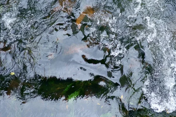흐름의 상류에서의 해류와 소용돌이의 — 스톡 사진
