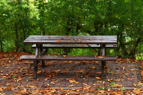 가을의 피크닉 테이블 공원에서 나무로 피크닉 테이블 — 스톡 사진
