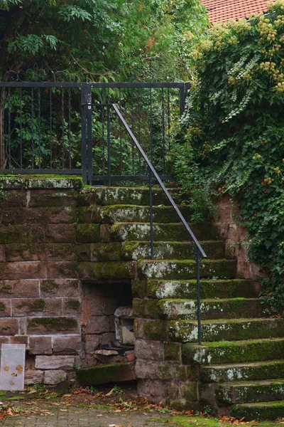 Bemooste Treppe Die Bemooste Treppe Eines Alten Mauerwerks Oder Einer — Stockfoto