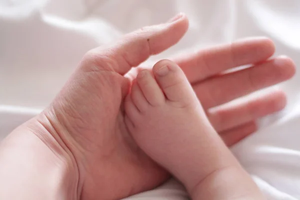 Child Leg Palm Adult — Stock Photo, Image