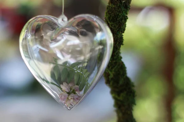 Transparentes Herz Mit Kleinen Rosafarbenen Blüten Innen — Stockfoto