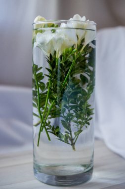 bir bardak beyaz Frezya çiçek