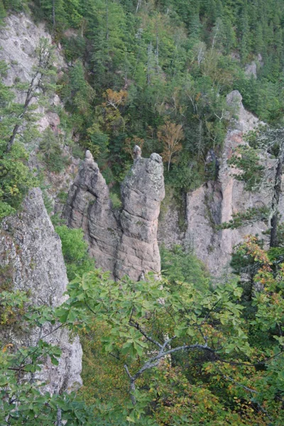 Skogbevuxna Berg Natur Höst — Stockfoto