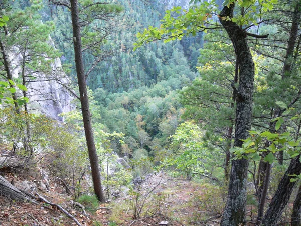 Skogbevuxna Berg Natur Höst — Stockfoto