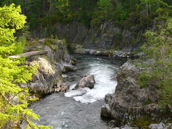 Ορεινό Ποτάμι Ορμητικά Ποτάμια Γρήγορο Ποτάμι Μεταξύ Των Βράχων — Φωτογραφία Αρχείου