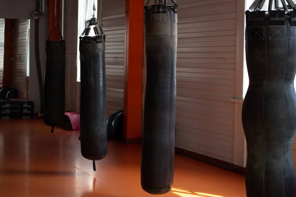 Gym Four Punching Bags Various Types — Stock Photo, Image