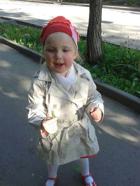 Chica en un impermeable y una gorra roja con dientes de león —  Fotos de Stock