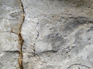 çatlakları ile özensiz boyasız sıva