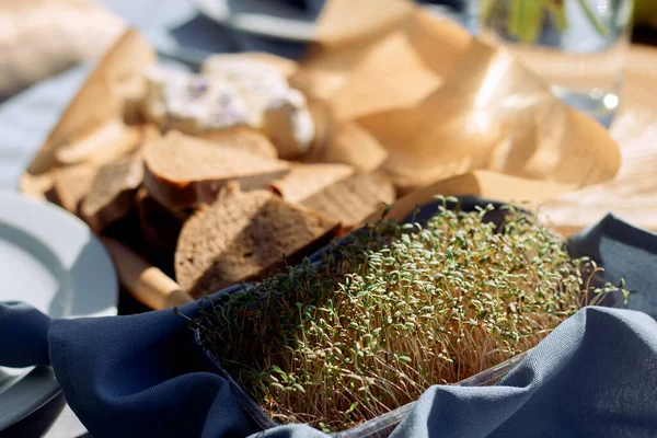 Ön planda mikro yeşil tepsi, arka planda peynirli ekmek dilimleri.