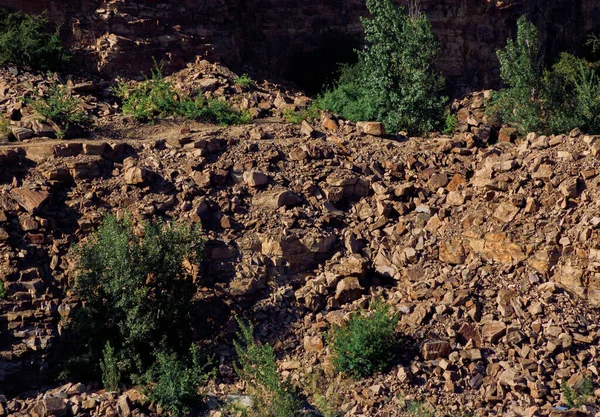 Pedra Scree Com Árvores Solitárias — Fotografia de Stock