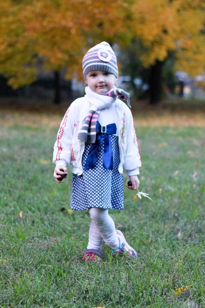 Chica Ropa Blanca Azul Posando Sobre Fondo Naturaleza —  Fotos de Stock