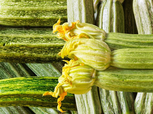 Composizione Zucchine Ottenuta Mescolando Diverse Foto Linee Verticali Orizzontali Diagonali — Foto Stock