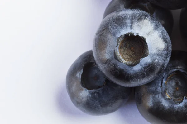 Bilberries Makro Fotoğrafçılık Beyaz Arka Plan Stüdyo Shot Üstten Görünüm — Stok fotoğraf