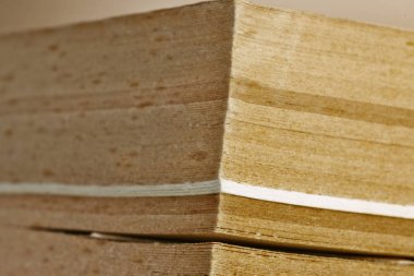 Eski bir paperbook ile bir köpek-kır sayfa, önden görünüm, macrophotography, kitap kapalı