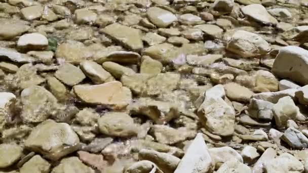 Pebbles Clear River Sunny Day Beautiful Sun Reflections — Stock Video