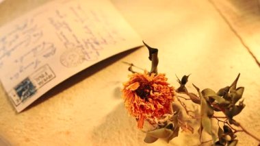 Eski kartpostallar eski albüm yığılmış , ön planda kurutulmuş yaprakları arasında bir portakal kurutulmuş çiçek , seçici odak , anılar ve melankoli
