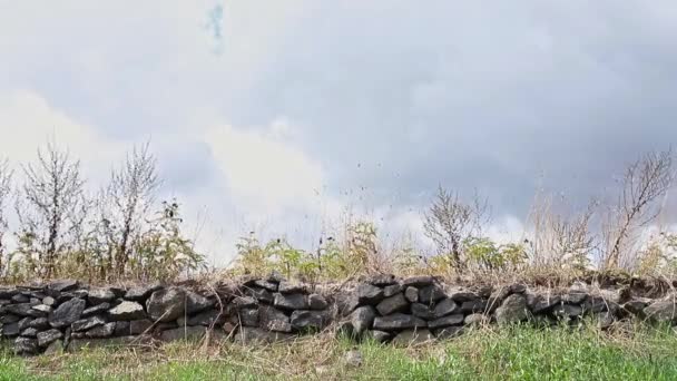 Paisaje Rural Italiano Con Pared Piedra Baja Hecha Piedras Rotas — Vídeos de Stock