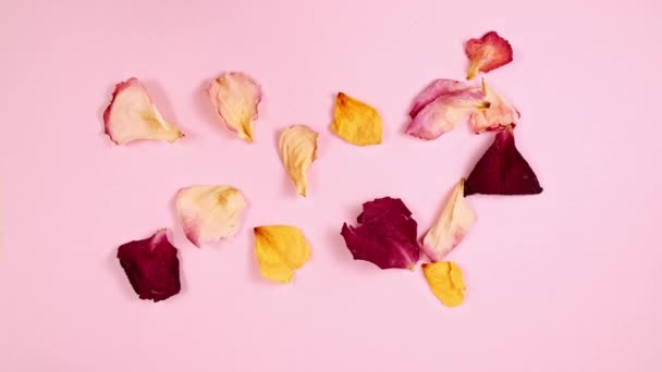 A forma di cuore con petali di rosa — Video Stock