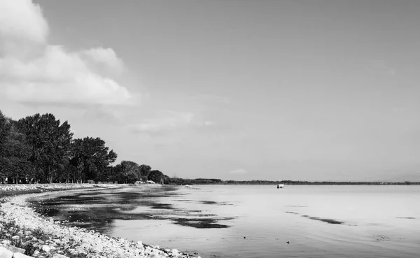 Trasimeno Jezero Během Odlivu Krásné Jezero Stromy Černobílé Fotografie — Stock fotografie