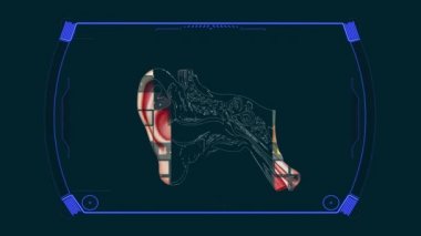 Anatomi Diyagramı Kulak Yapısı