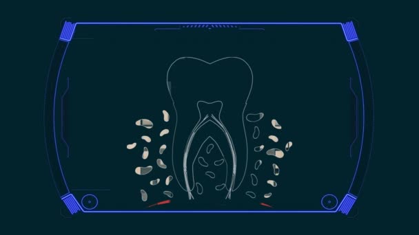 Diagrama Anatomia Dentes Humanos — Vídeo de Stock