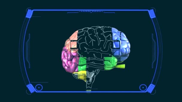 Diagrama Anatomía Cerebral — Vídeo de stock