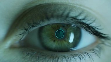 Dijital Göz Bağlantı Verisi