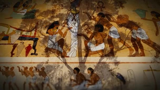 Hieroglifele Egiptene Antice Full — Videoclip de stoc