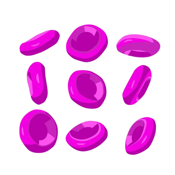 Rudé krvinky. Izometrická ilustrace. — Stockový vektor